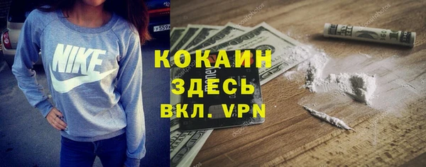 a pvp Няндома